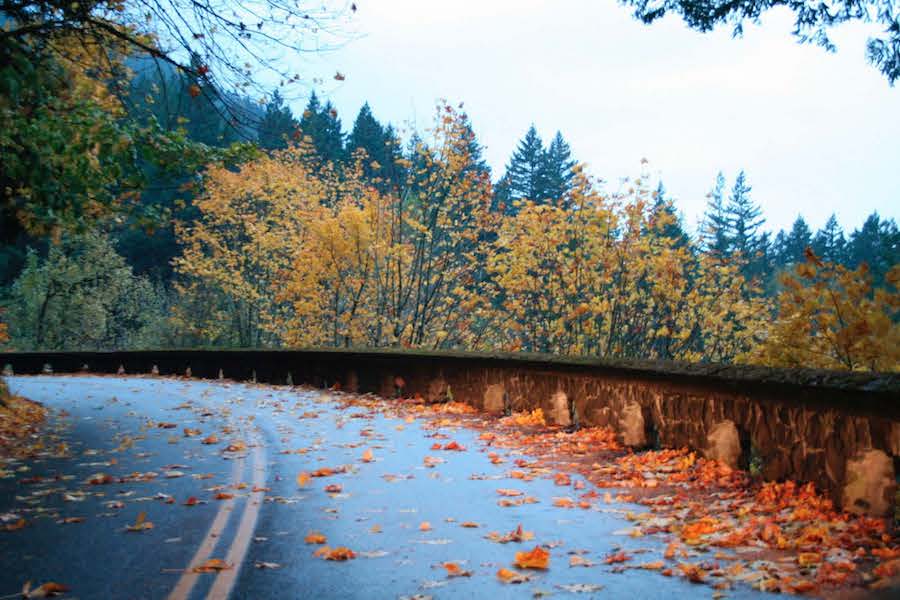 Historic Columbia River Highway, Oregon | Photo: PDM+A